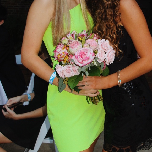 Lovers + Friends Rizelle Mini Dress - Picture 4 of 4